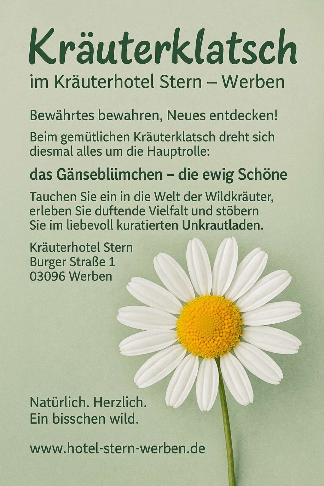 Gänseblümchen Ihre Entdeckung beim Kräuterklatsch 