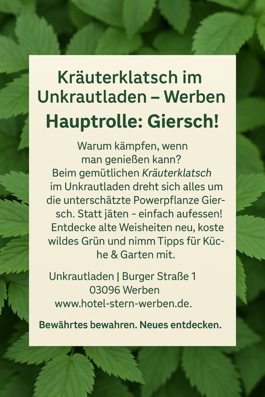 Giersch Ihre Entdeckung beim Kräuterklatsch 