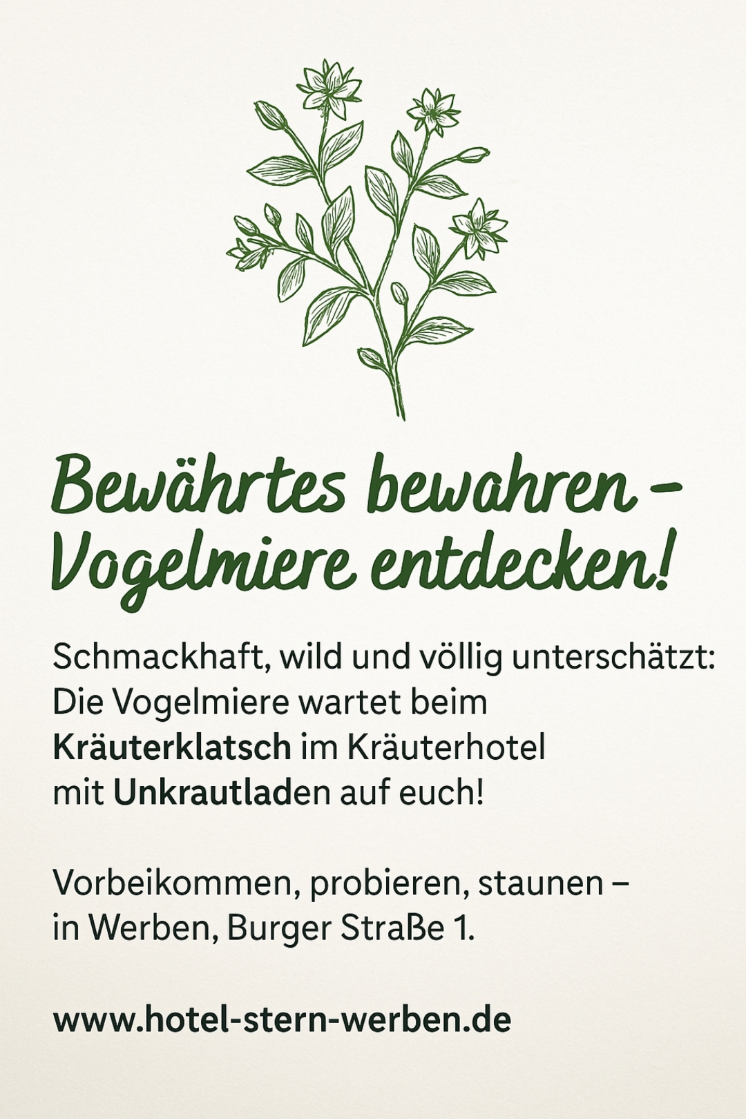  Vogelmiere Ihre Entdeckung beim Kräuterklatsch 