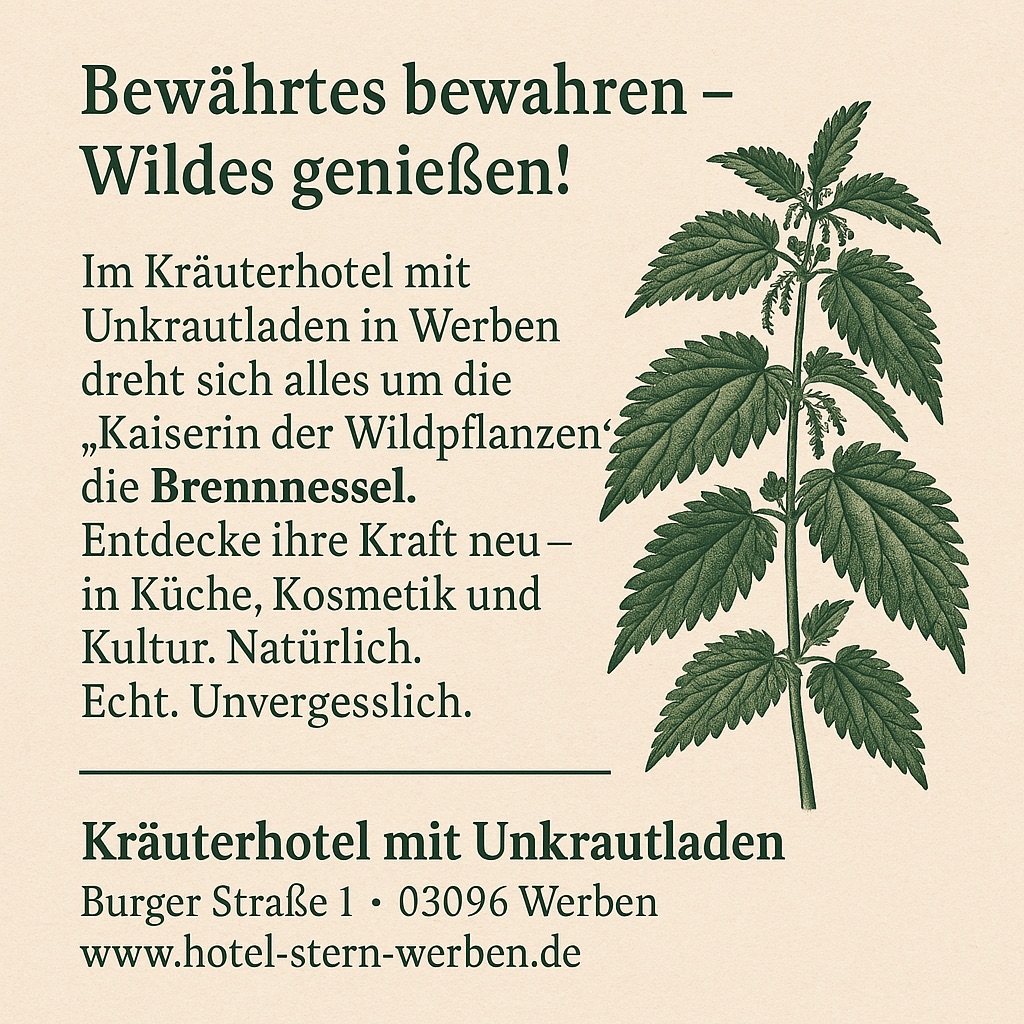 Brennnessel Ihre Entdeckung beim Kräuterklatsch 