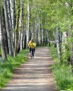 Willkommen im Radler Hotel im Spreewald! 🚴‍♂️🌿