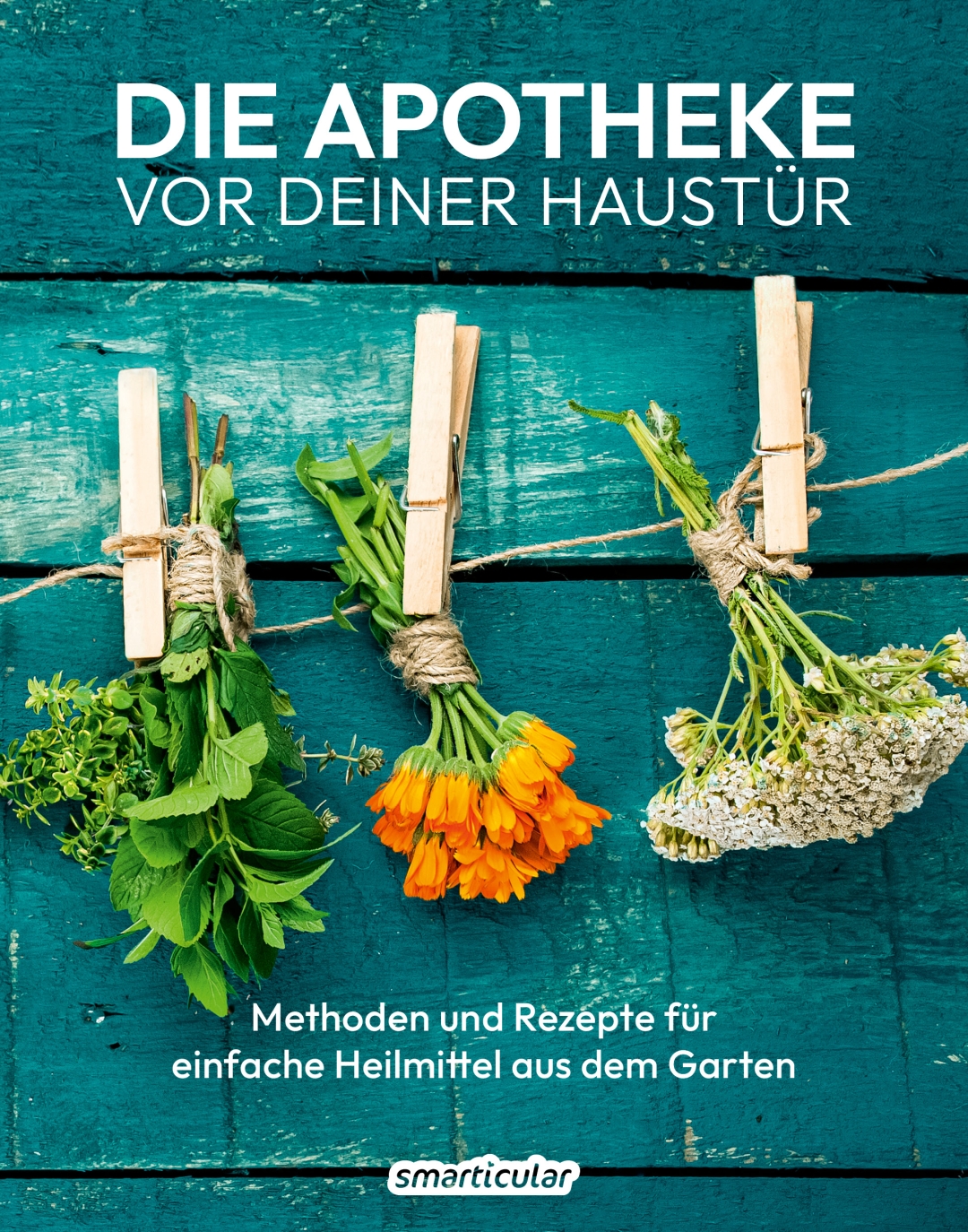 Die Natur als deine Hausapotheke! 🌿✨
