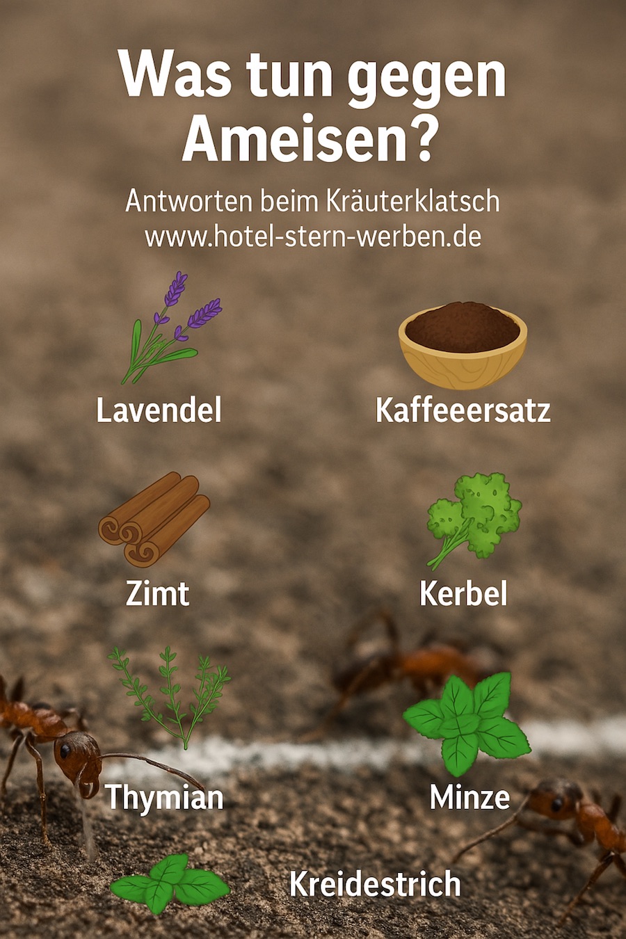 Was tun gegen Ameisen?