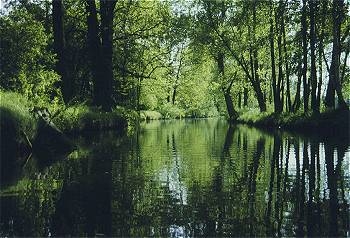 Speisekarten