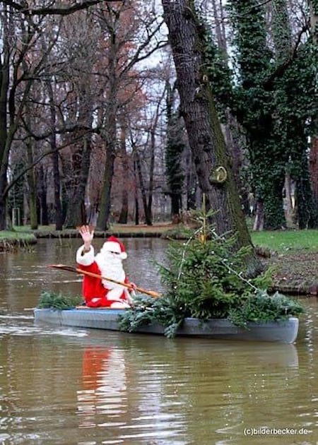 Weihnachtsbäume im Spreewald